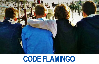 Code Flamingo